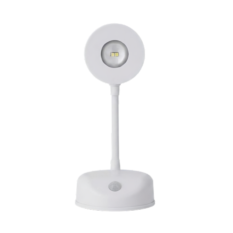 Motion Sensor Spotlight