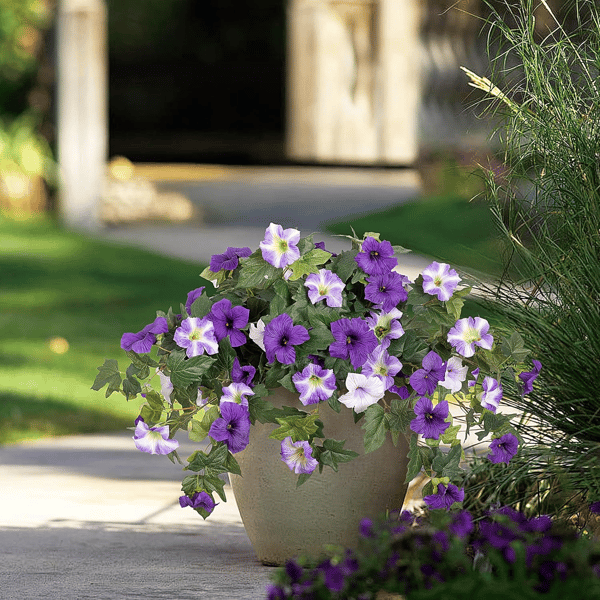EverBloom | Artificial Flowers Petunias with UV Protection | Lifelike Faux Flowers for Year-Round Outdoor Beauty 0 | VB1780390415019472356,ew1780390415019657517