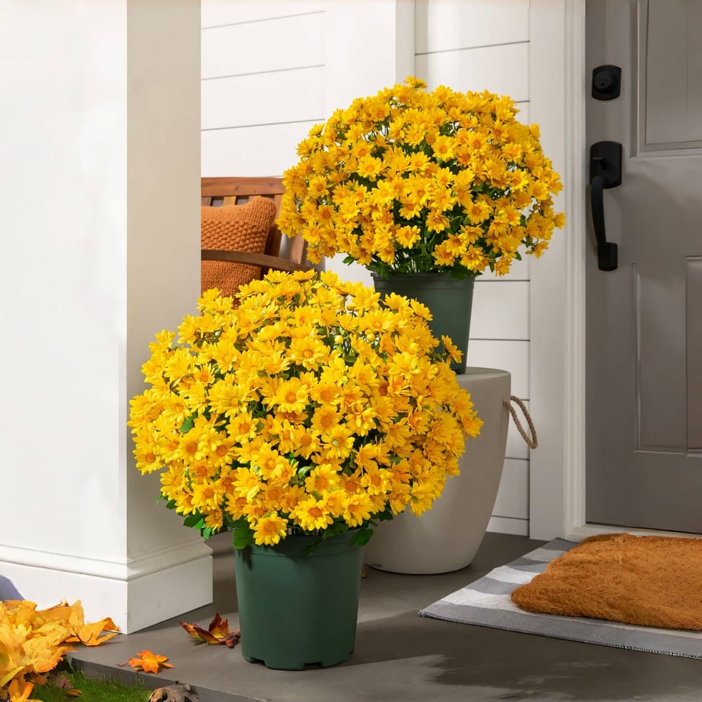 EverFall | Artificial Flowers with UV Protection | Lifelike Silk Mums for Year-Round Beauty 4 | Ys1780390415015453619,mi1780390415015549541,sh1780390415015643903,Wh1780390415015738534,gB1780390415015832445,Qr1780390415016033162,KP1780390415015938470,hg1780390415016127153,oM1780390415016221785