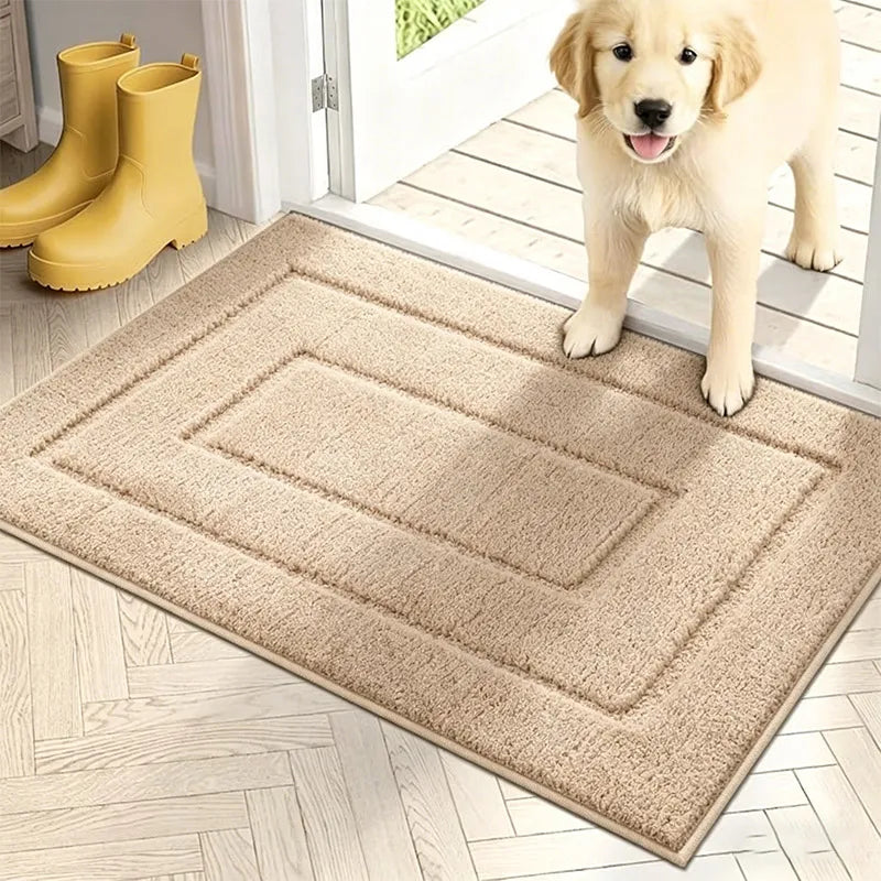 Washable Non-Slip Door Mat