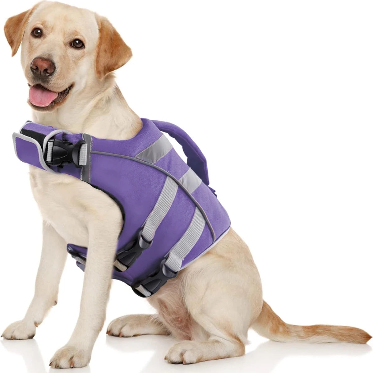 Red / S,Red / XS,Red / M,Red / L,Red / XL,Red / XXL,Purple / S,Purple / XS,Purple / M,Purple / L,Purple / XL,Purple / XXL,Rose Red / S,Rose Red / XS,Rose Red / M,Rose Red / L,Rose Red / XL,Rose Red / XXL,Green / S,Green / XS,Green / M,Green / L,Green / XL,Green / XXL,Orange / S,Orange / XS,Orange / M,Orange / L,Orange / XL,Orange / XXL