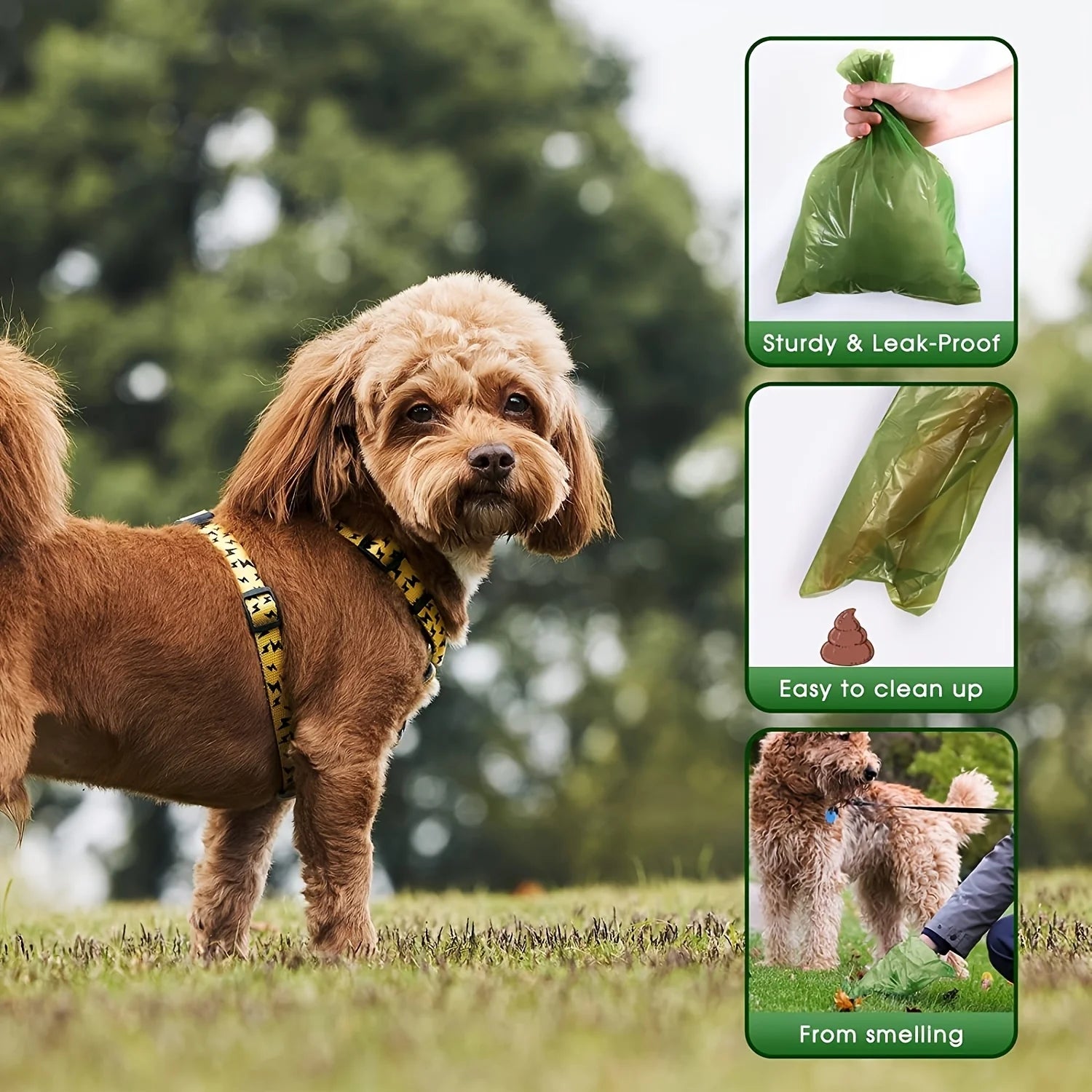 Dog Poop Bags – Thick, Leak-Proof Waste Bags on Rolls (up to 540)