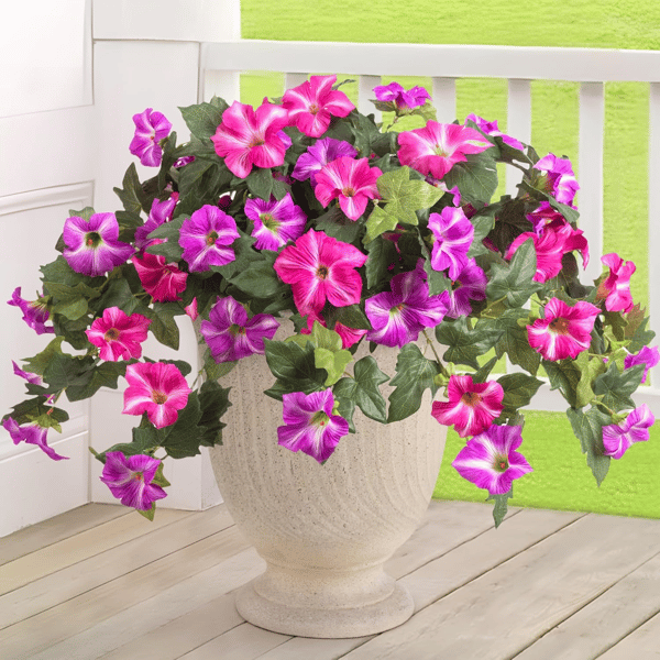 EverBloom | Artificial Flowers Petunias with UV Protection | Lifelike Faux Flowers for Year-Round Outdoor Beauty 8 | VB1780390415019472356,ew1780390415019657517