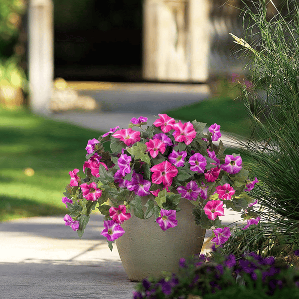 EverBloom | Artificial Flowers Petunias with UV Protection | Lifelike Faux Flowers for Year-Round Outdoor Beauty 9 | VB1780390415019472356,ew1780390415019657517