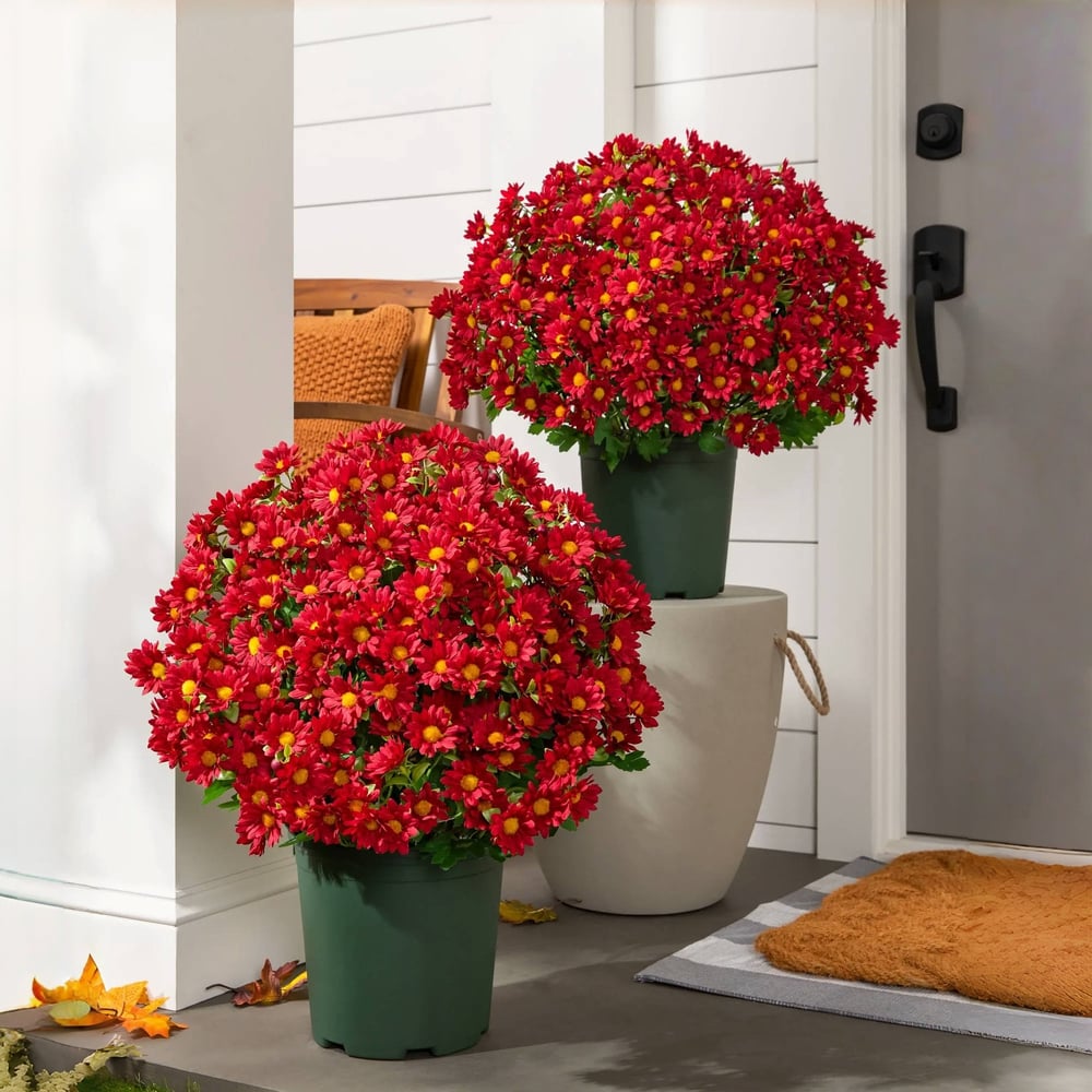 EverFall | Artificial Flowers with UV Protection | Lifelike Silk Mums for Year-Round Beauty 5 | Ys1780390415015453619,mi1780390415015549541,sh1780390415015643903,Wh1780390415015738534,gB1780390415015832445,Qr1780390415016033162,KP1780390415015938470,hg1780390415016127153,oM1780390415016221785