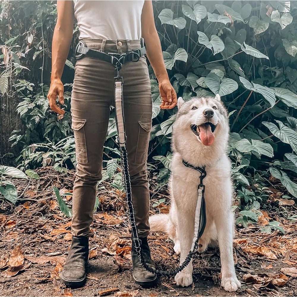 Hands-Free Dog Lead – Waist Belt with Bungee & Reflective Stitching