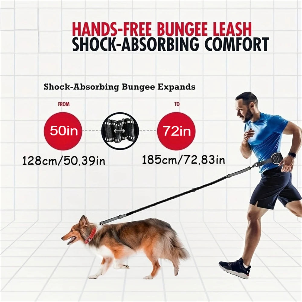 Hands-Free Dog Lead – Waist Belt with Bungee & Reflective Stitching