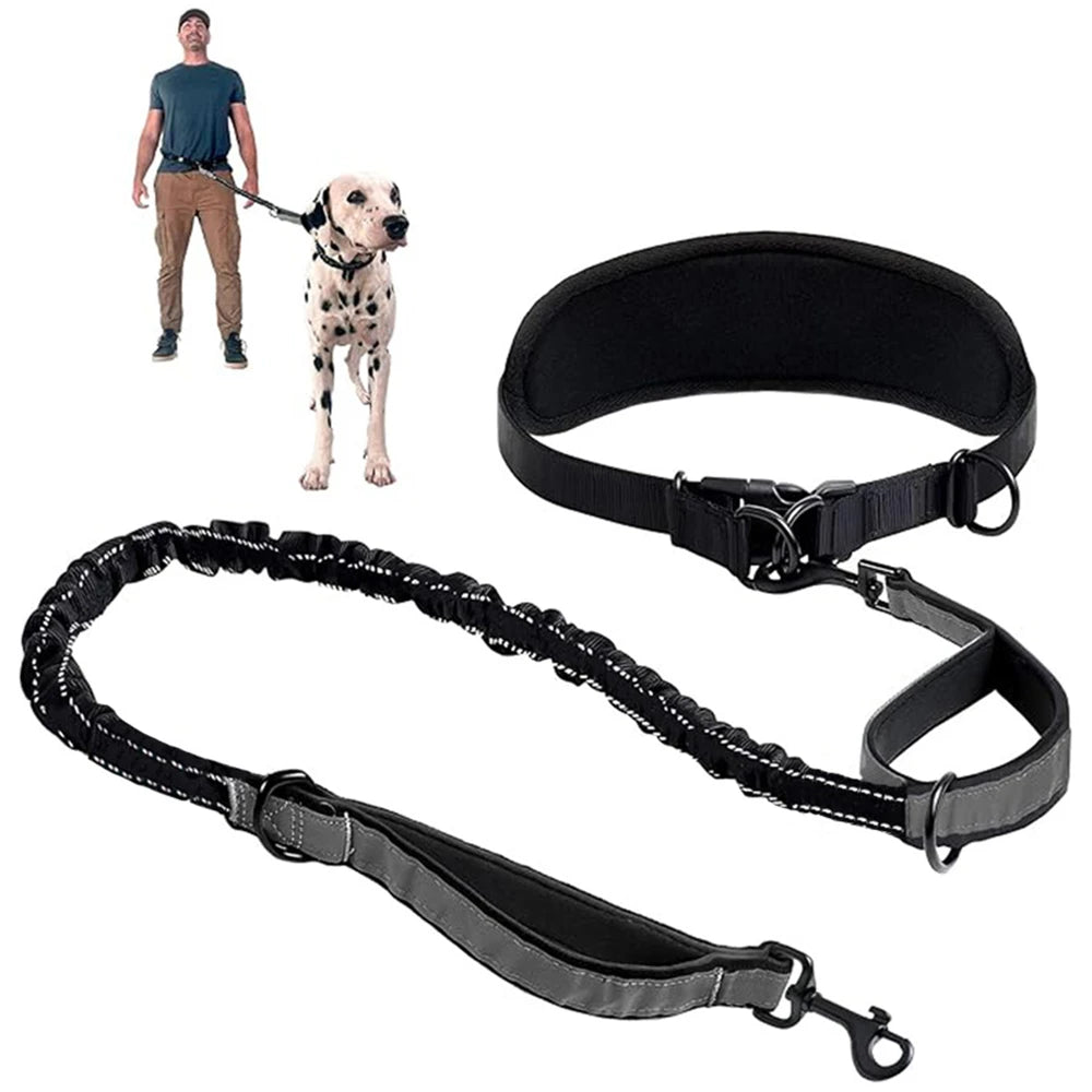 Hands-Free Dog Lead – Waist Belt with Bungee & Reflective Stitching