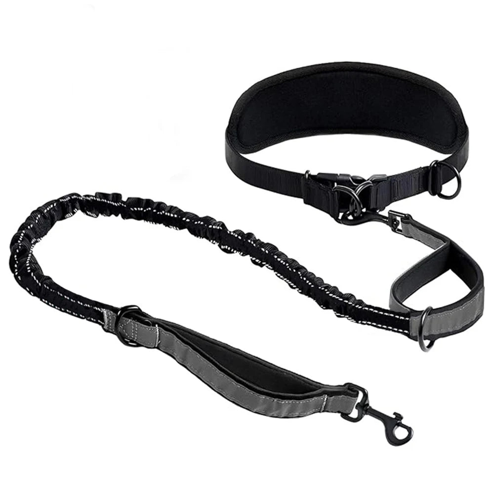 Hands-Free Dog Lead – Waist Belt with Bungee & Reflective Stitching