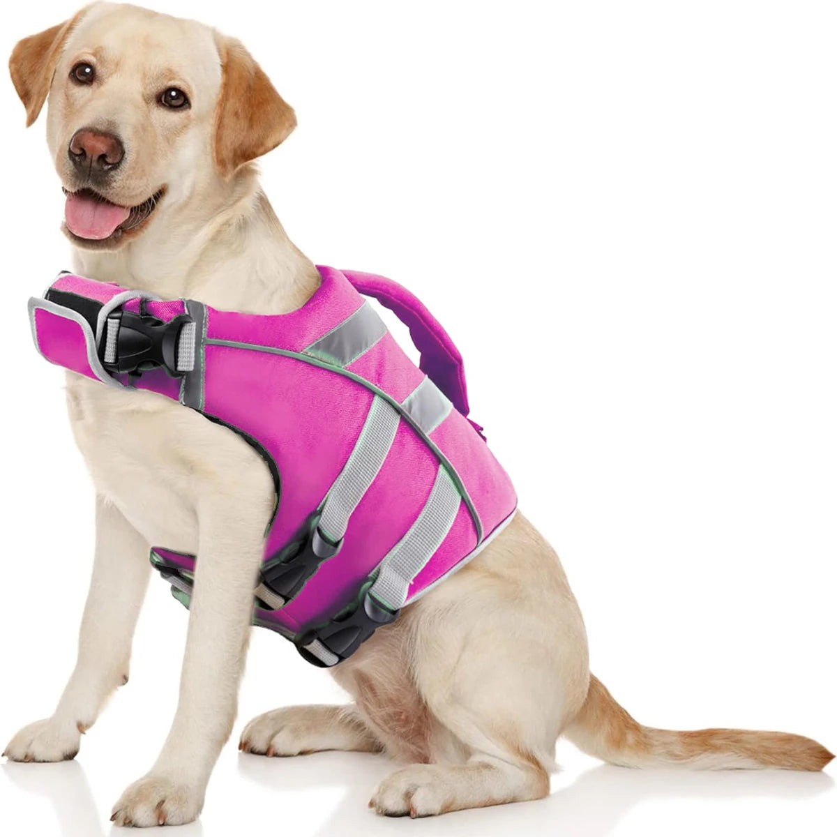 Red / S,Red / XS,Red / M,Red / L,Red / XL,Red / XXL,Purple / S,Purple / XS,Purple / M,Purple / L,Purple / XL,Purple / XXL,Rose Red / S,Rose Red / XS,Rose Red / M,Rose Red / L,Rose Red / XL,Rose Red / XXL,Green / S,Green / XS,Green / M,Green / L,Green / XL,Green / XXL,Orange / S,Orange / XS,Orange / M,Orange / L,Orange / XL,Orange / XXL