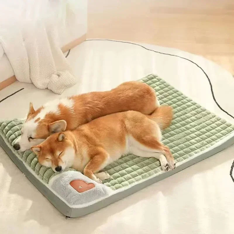 Supportive Memory-Foam Dog Bed