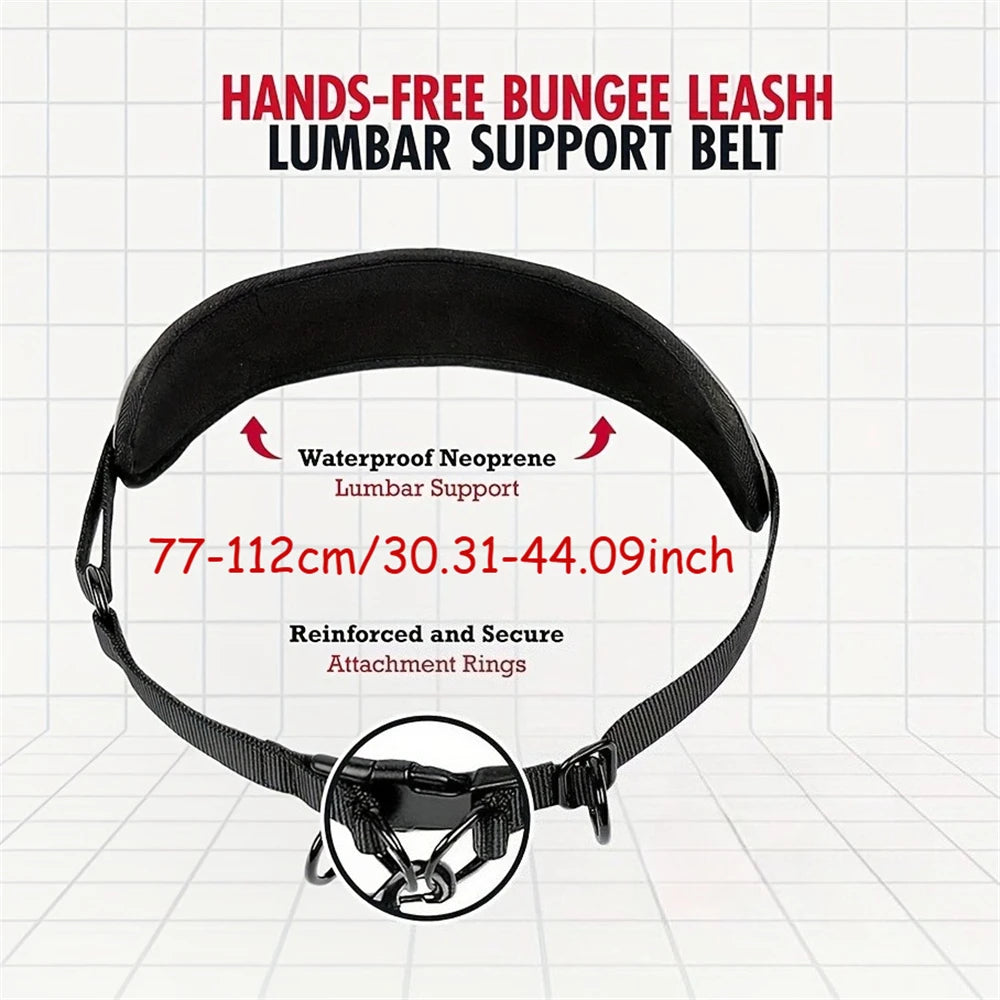 Hands-Free Dog Lead – Waist Belt with Bungee & Reflective Stitching