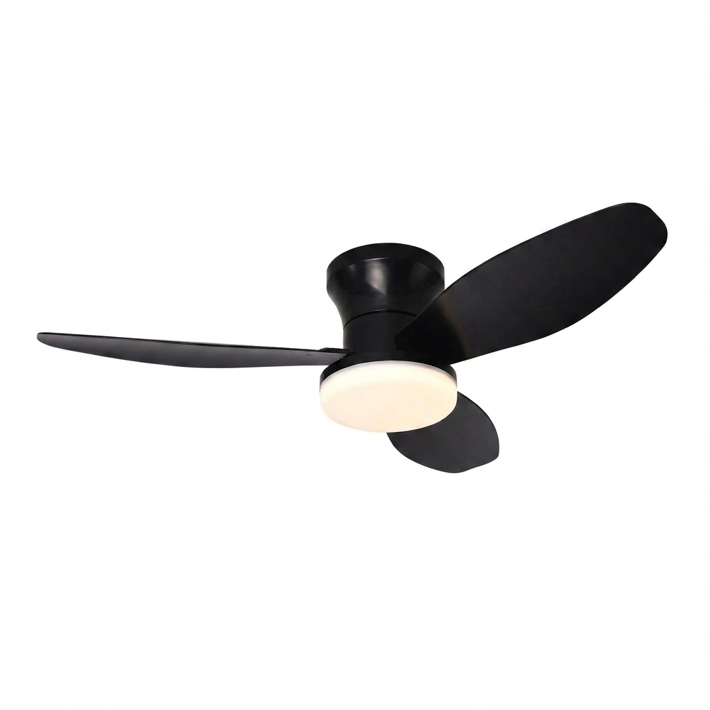 Ceiling fan black
